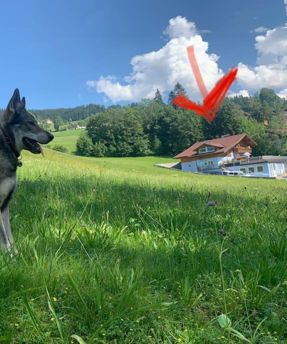 Urlaub Mit Hund Im Salzburger Land Apartment Wegscheid Екстериор снимка